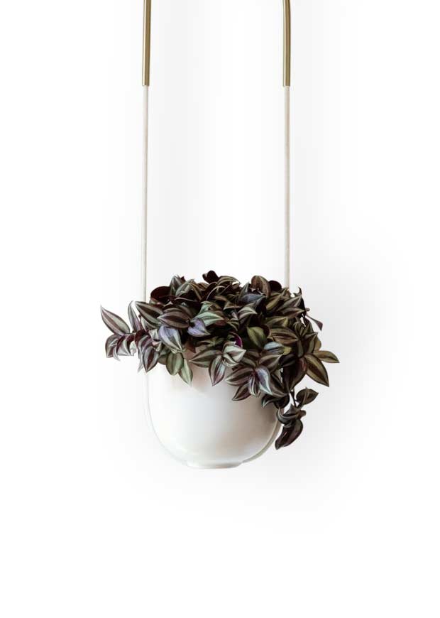 Bolo Hanging Planter